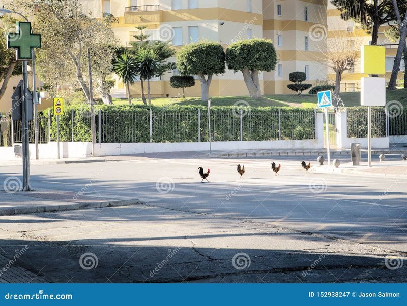 Chicken road oficial in Spain
